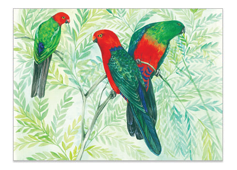Australian Parrot King Parrot - A6 Art Card Helen Ashley Designs