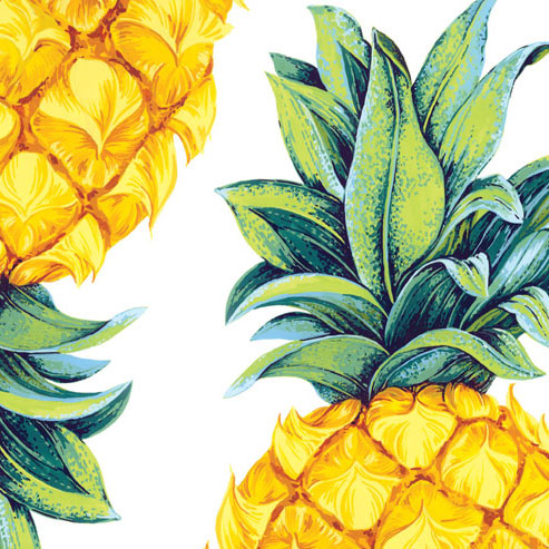 Tropical - Art Cards