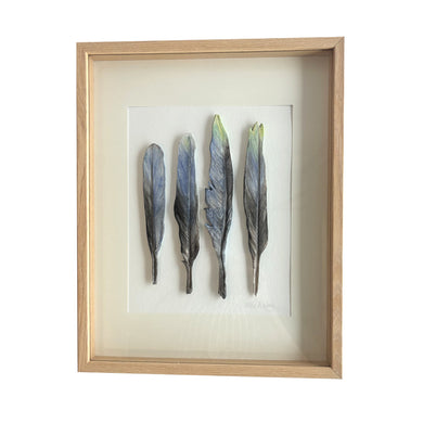 Eastern Rosella Tail Feathers 37x29.5