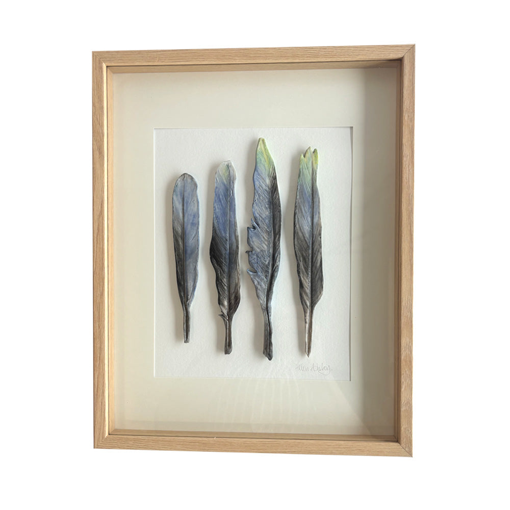 Eastern Rosella Tail Feathers 37x29.5