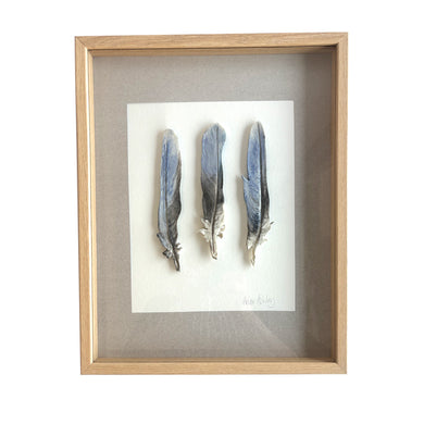 Eastern Rosella Tail Feathers