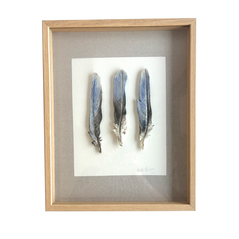 Eastern Rosella Tail Feathers