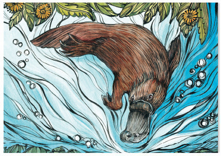 Animal Woodcut Platypus - A6 Art Card