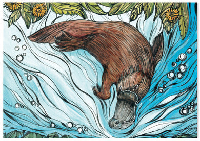 Animal Woodcut Platypus - A6 Art Card
