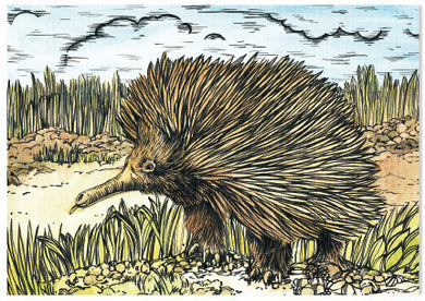 Animal Woodcut Echidna - A6 Art Card