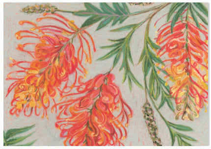 Native Pastel Grevillea - A6 Art Card