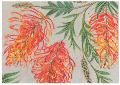 Native Pastel Grevillea - A6 Art Card