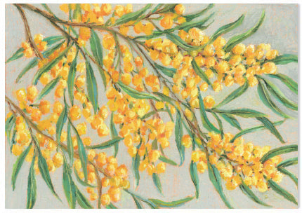 Native Pastel Wattle - A6 Art Card