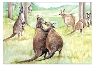 Kissing Kangaroo - Print