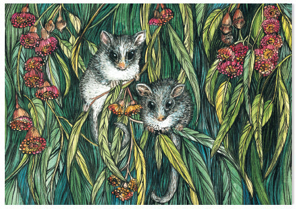 Animal Woodcut Pigmy Possum - A6 Art Card