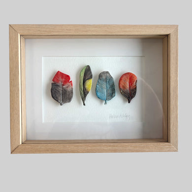 Baby Lorikeet - Feathers Framed 22 x 17cms