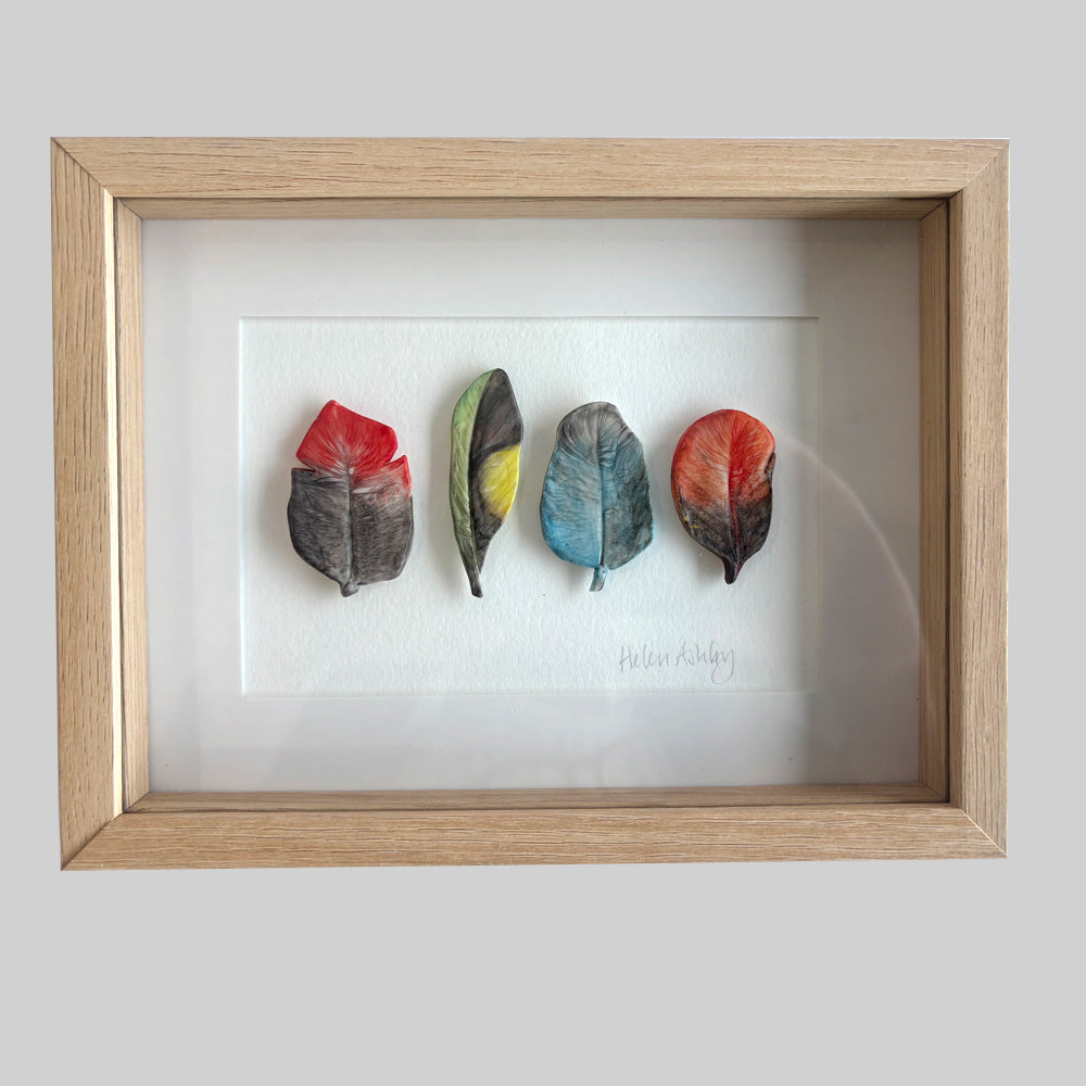 Baby Lorikeet - Feathers Framed 22 x 17cms