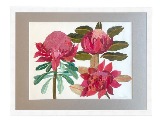 Collage Waratah - Framed Artwork