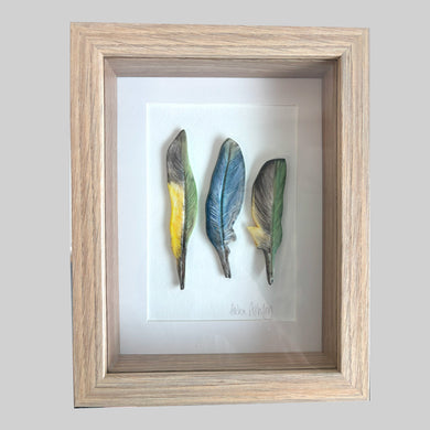 Eastern Rosella - Feathers Framed 18 x 23cms