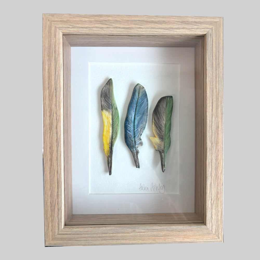 Eastern Rosella - Feathers Framed 18 x 23cms
