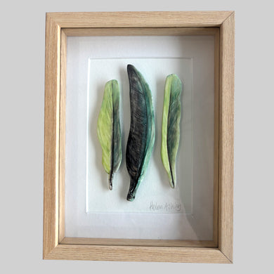Green Feathers Framed 16.5 x 22cms