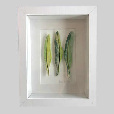 Green Parrot - Feathers Framed 23 x 17.5cms