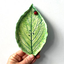 Hydrangea and Ladybird soap dish