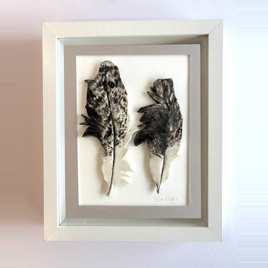 Ibis Double - Feathers Framed