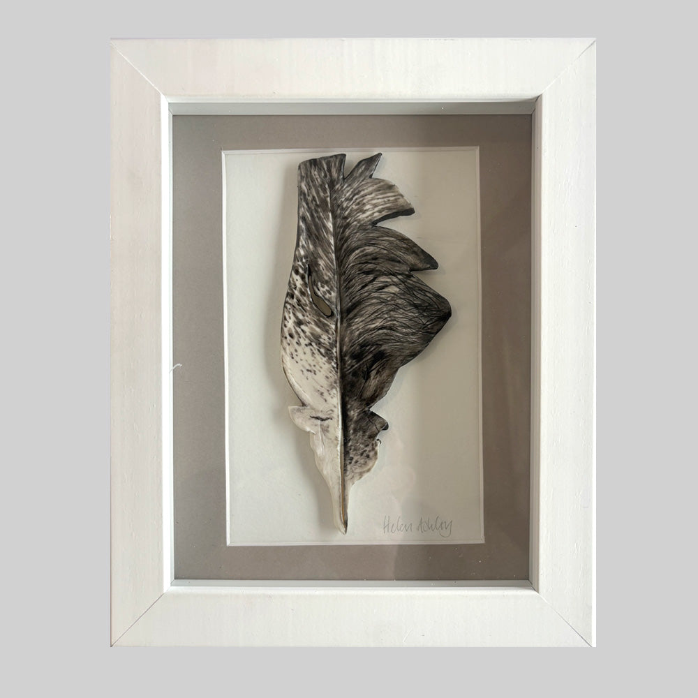Ibis - Feather Framed 21 x 25.5cms