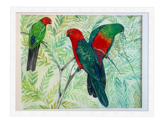 King Parrots - Framed Artwork