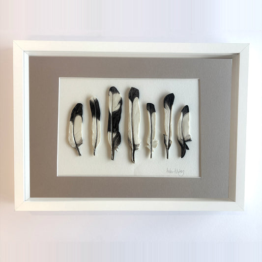 Magpie Lucky 7 Large - Feathers Framed