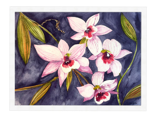 Orchids Pink - Framed Artwork