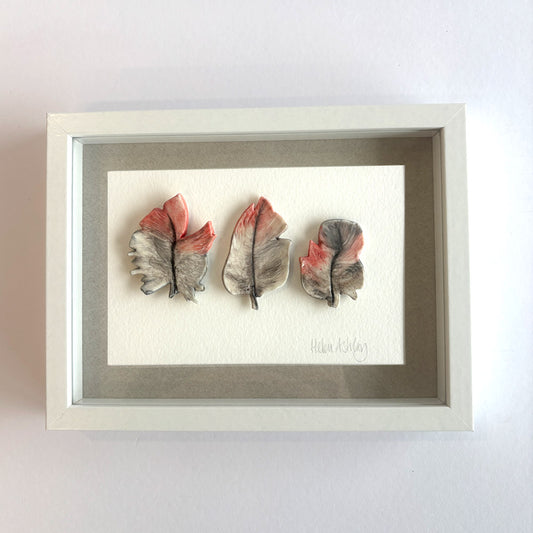 Pink Galah White - Feathers Framed
