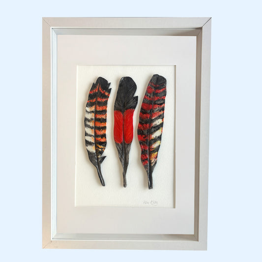 RedTailed Black Cockatoo Trio - Feathers Framed