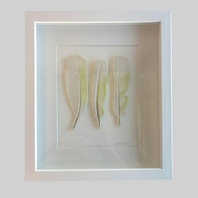 Sulphur Crested Cockatoo - Feathers Framed 33.5 x 38.5cms