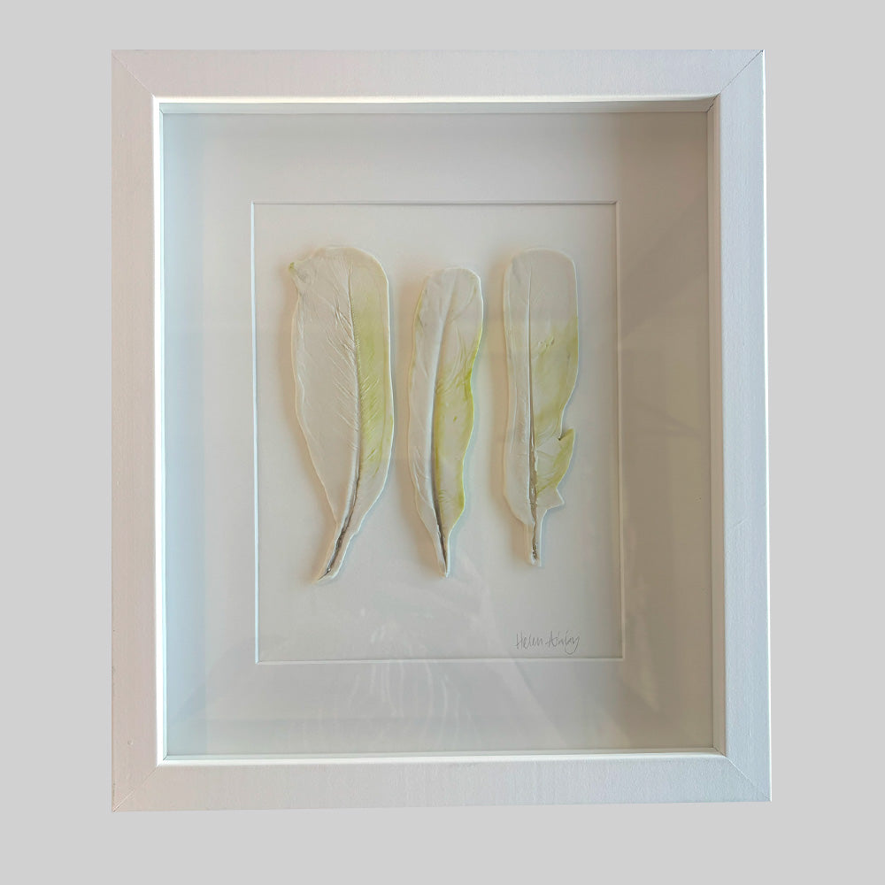 Sulphur Crested Cockatoo - Feathers Framed 33.5 x 38.5cms