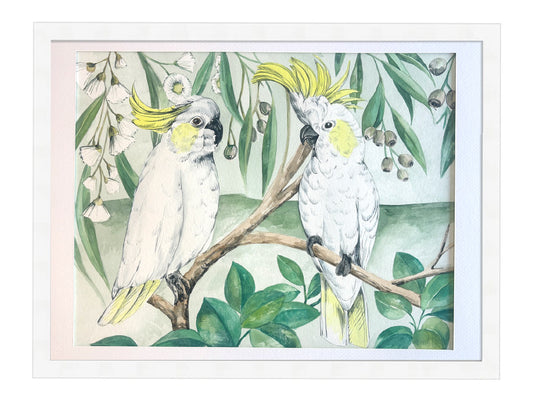 Sulphur Crested Cockatoo - Framed Artwork