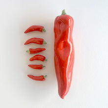 Chilli Chopstick Rest Family