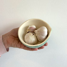 Garlic Grater