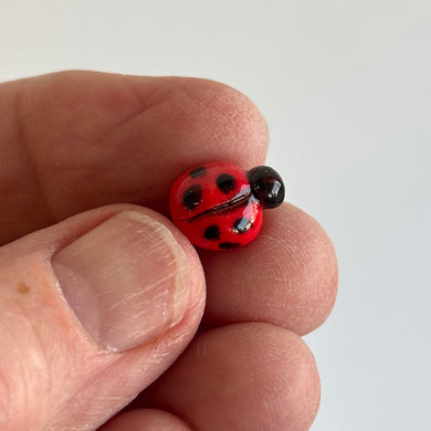 Ladybird Singular