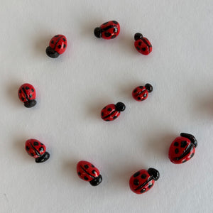 Ladybird Singular