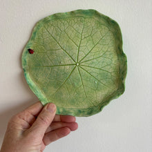 Nasturtium Leaf Plate