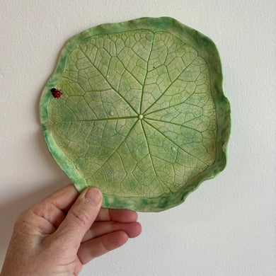 Nasturtium Leaf Plate