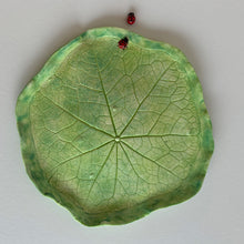 Nasturtium Leaf Plate