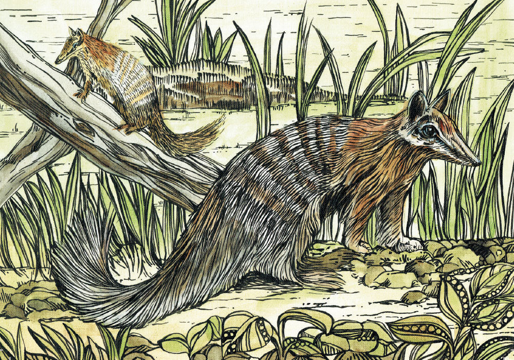 Animal Woodcut Numbat - A6 Art Card