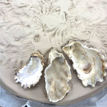 Oyster Platter