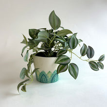 Planters