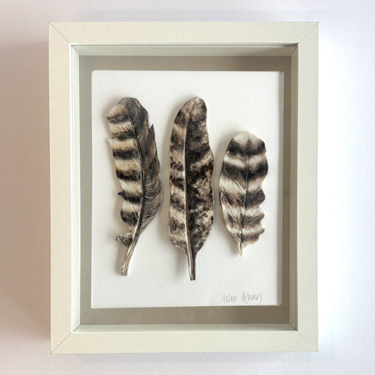 Powerful Owl - Feathers Framed
