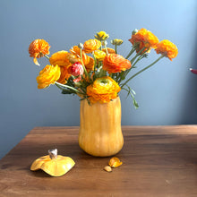 Butternut Pumpkin Pot with Lid