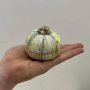 Small pumpkin pot with lid