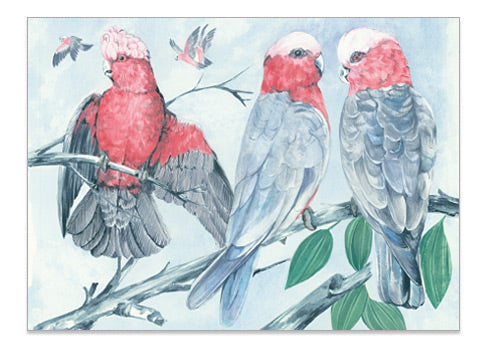 Australian Parrot Pink Galah - A6 Art Card Helen Ashley Designs