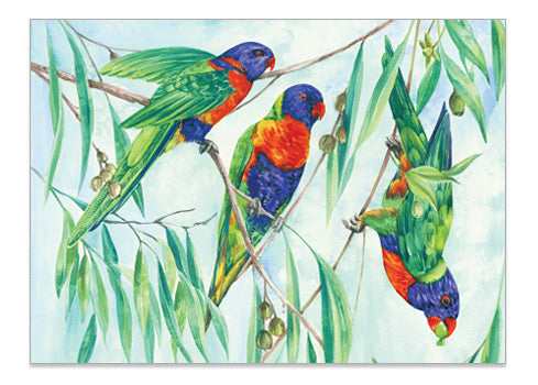 Rainbow Lorikeet - Print