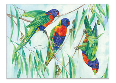 Rainbow Lorikeet - Print