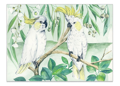 Australian Parrot Saffron Cockatoo - Helen Ashley Designs
