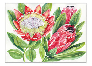 Bush Blooms Protea - A6 Art Card